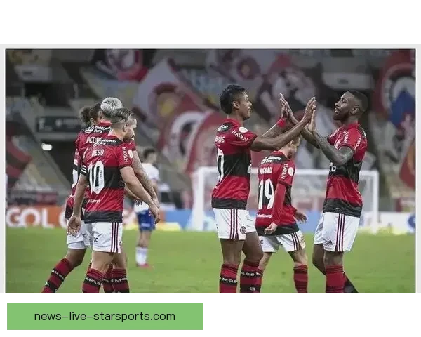 足球直播在哪看 全面盘点主流平台与观赛方式指南最新推荐解析